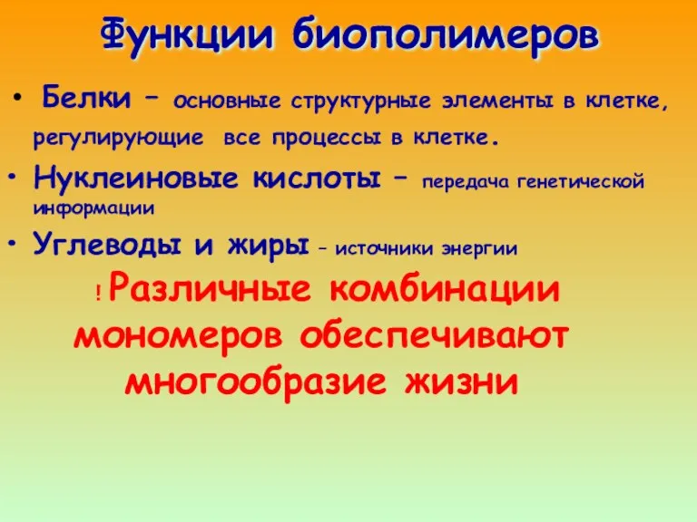 Функции биополимеров Белки – основные структурные элементы в клетке, регулирующие