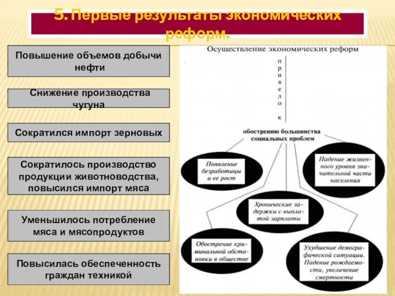 5. Первые результаты экономических реформ. Сократилось производство продукции животноводства, повысился импорт мяса Сократился