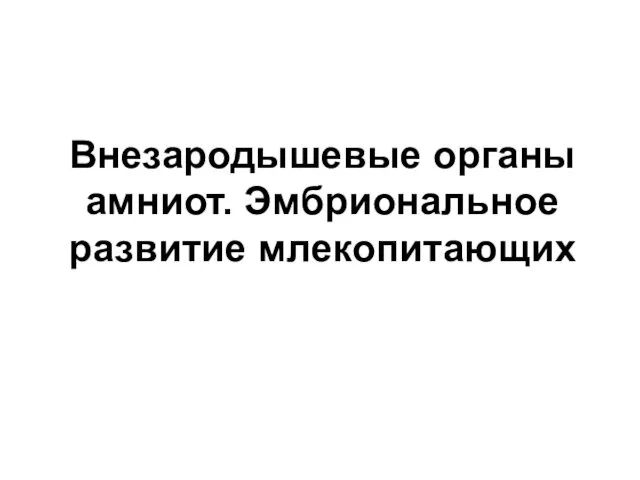 Внезародышевые органы амниот. Эмбриональное развитие млекопитающих