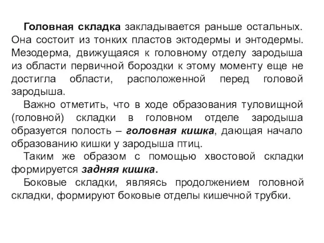 Головная складка закладывается раньше остальных. Она состоит из тонких пластов