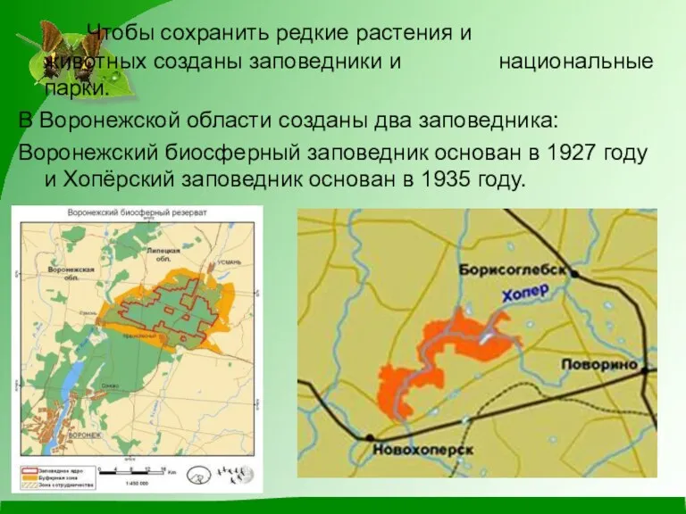 Чтобы сохранить редкие растения и животных созданы заповедники и национальные