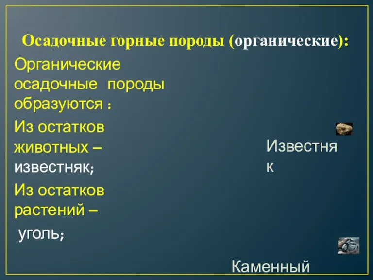 Осадочные горные породы (органические): Органические осадочные породы образуются : Из