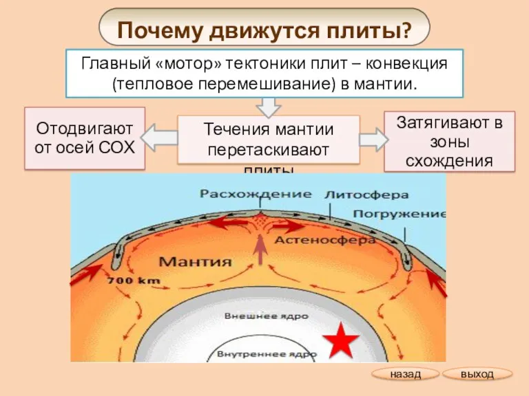 Почему движутся плиты? Отодвигают от осей СОХ Затягивают в зоны