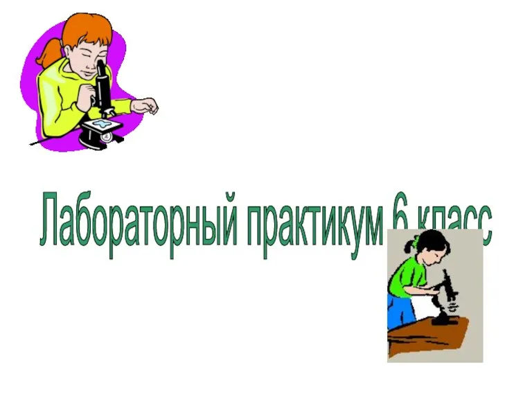 Знакомство с внешним строением цветкового растения