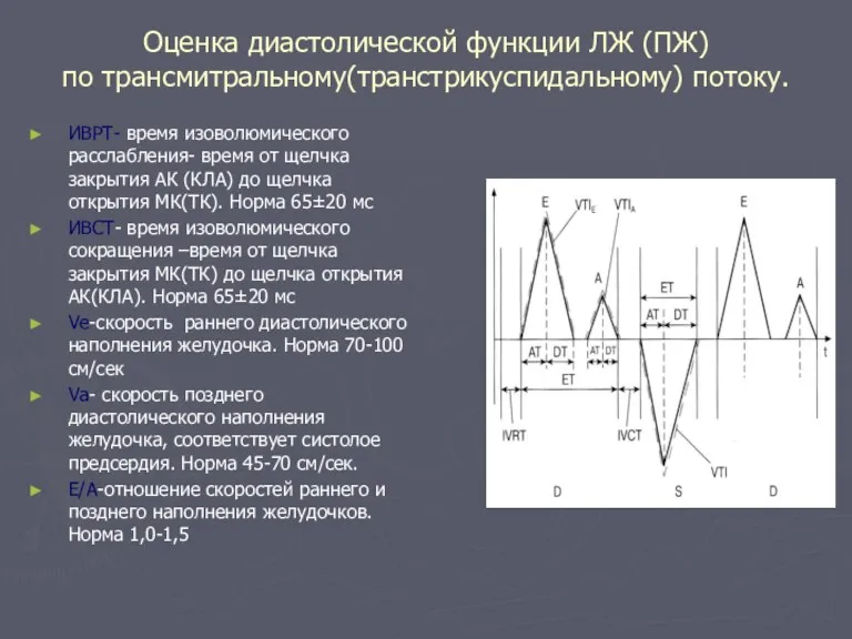 Оценка диастолической функции ЛЖ (ПЖ) по трансмитральному(транстрикуспидальному) потоку. ИВРТ- время