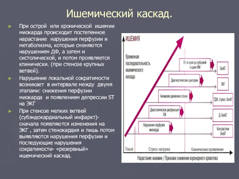 Ишемический каскад. При острой или хронической ишемии миокарда происходит постепенное