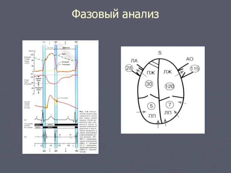 Фазовый анализ