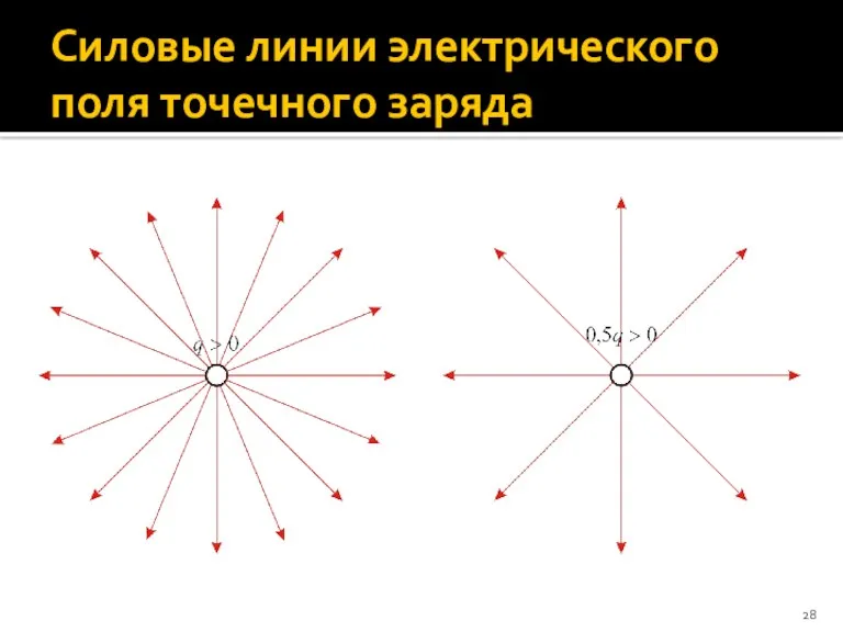 Силовые линии электрического поля точечного заряда