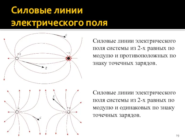 Силовые линии электрического поля Силовые линии электрического поля системы из