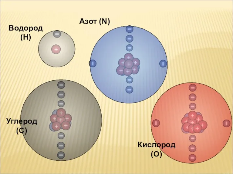 Водород (H) Азот (N) Кислород (O) Углерод (C)