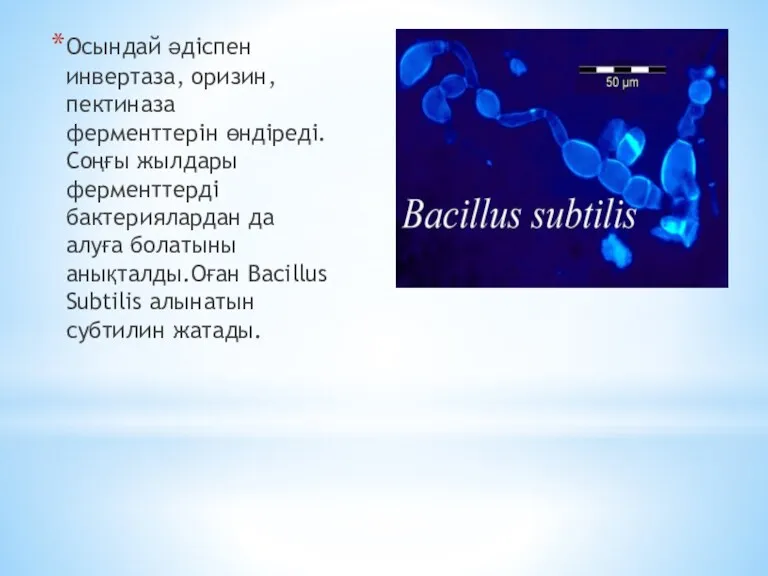 Осындай әдіспен инвертаза, оризин, пектиназа ферменттерін өндіреді.Соңғы жылдары ферменттерді бактериялардан