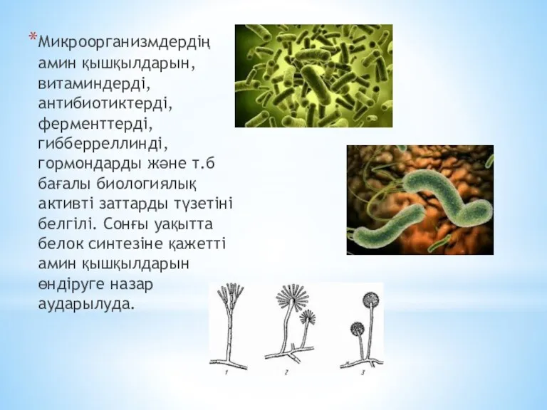 Микроорганизмдердің амин қышқылдарын, витаминдерді, антибиотиктерді, ферменттерді, гибберреллинді, гормондарды және т.б