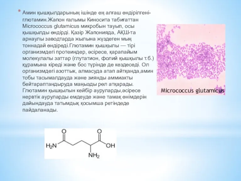 Амин қышқылдарының ішінде ең алғаш өндірілгені- глютамин.Жапон ғалымы Киносита табиғаттан