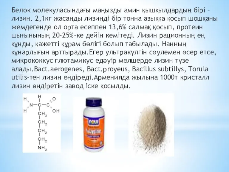 Белок молекуласындағы маңызды амин қышқылдардың бірі – лизин. 2,1кг жасанды