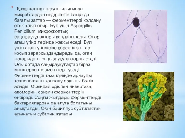 . Қазір халық шаруашылығында микробтардан өндірілетін басқа да бағалы заттар