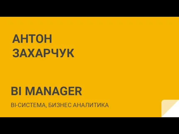 BI manager BI-система, бизнес аналитика