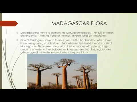 MADAGASCAR FLORA Madagascar is home to as many as 12,000