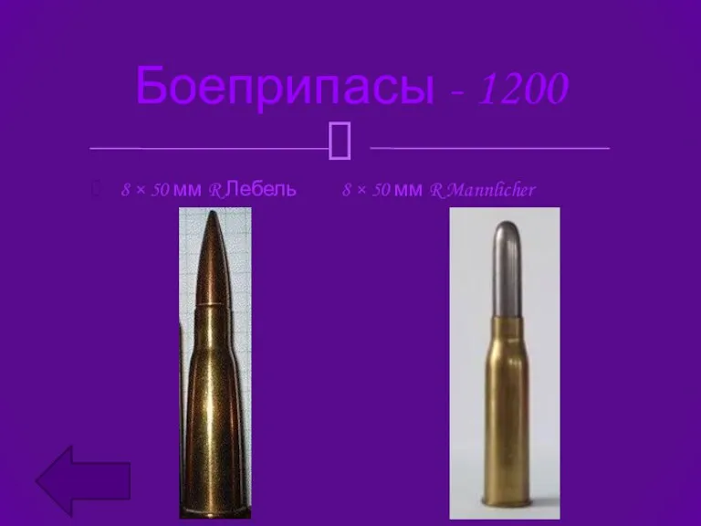 Боеприпасы - 1200 8 × 50 мм R Лебель 8 × 50 мм R Mannlicher