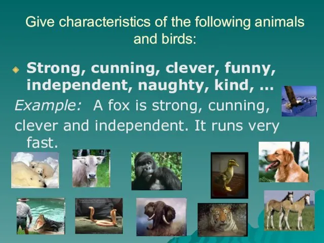 Give characteristics of the following animals and birds: Strong, cunning, clever, funny, independent,