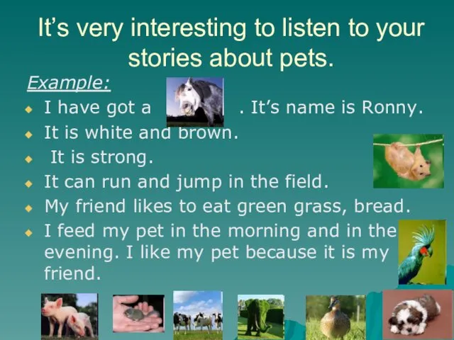 It’s very interesting to listen to your stories about pets. Example: I have