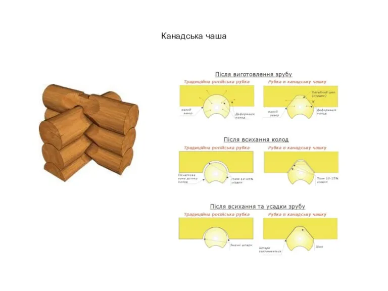 Канадська чаша