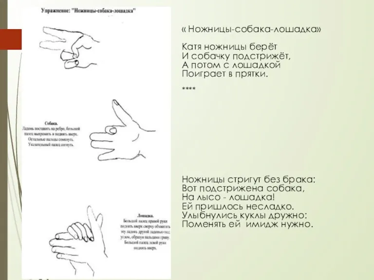 « Ножницы-собака-лошадка» Катя ножницы берёт И собачку подстрижёт, А потом с лошадкой Поиграет