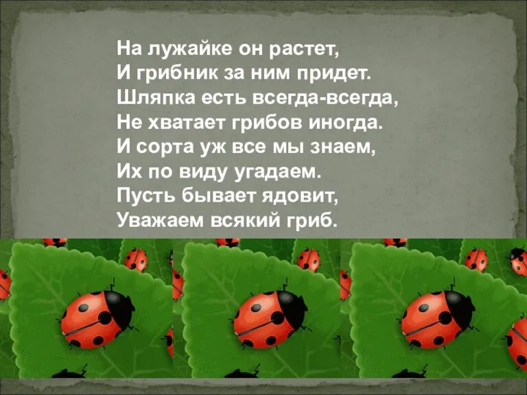 На лужайке он растет, И грибник за ним придет. Шляпка есть всегда-всегда, Не