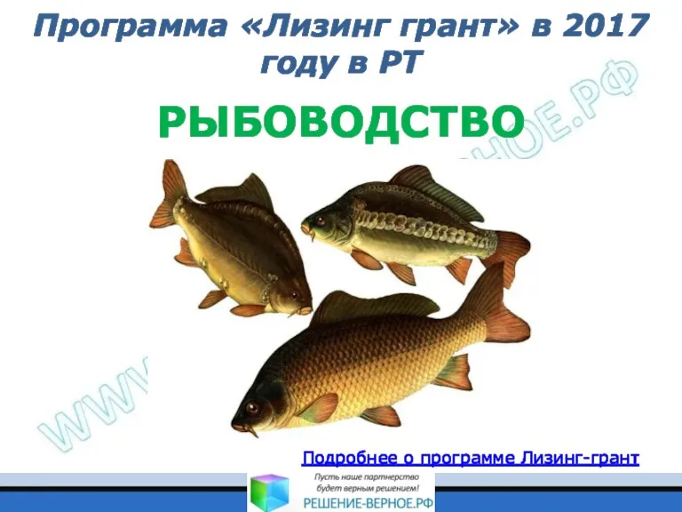 Программа «Лизинг грант» в 2017 году в РТ РЫБОВОДСТВО Подробнее о программе Лизинг-грант