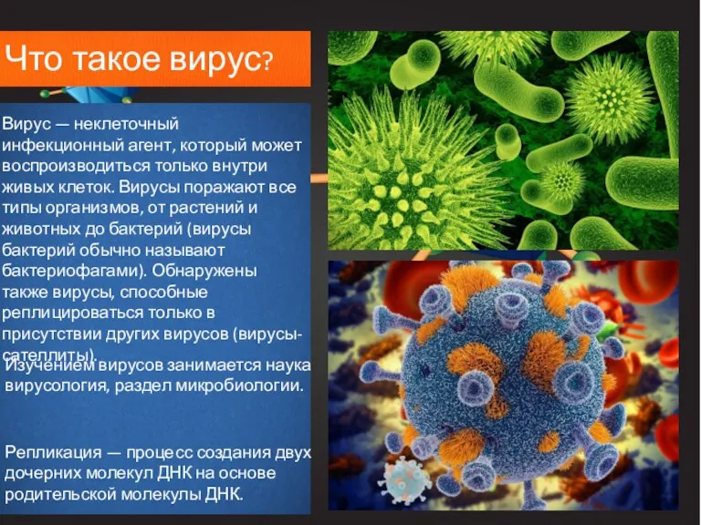 Что такое вирус? Вирус — неклеточный инфекционный агент, который может
