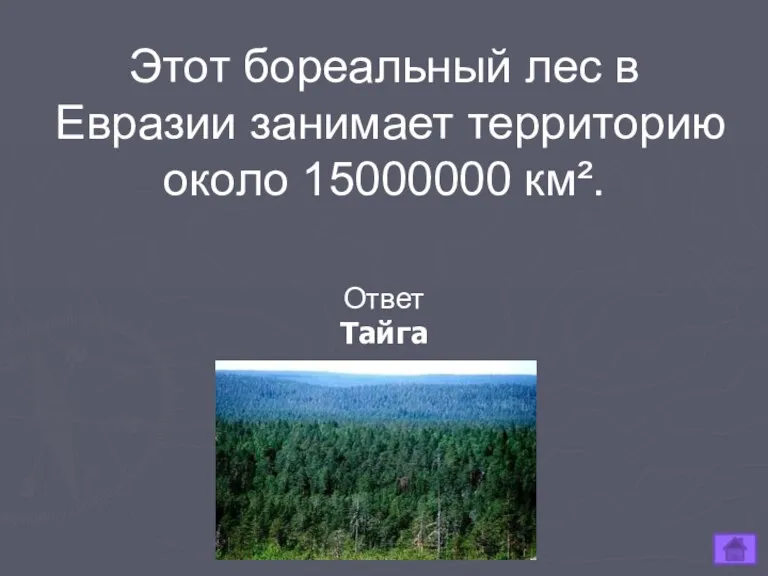 Этот бореальный лес в Евразии занимает территорию около 15000000 км². Ответ Тайга