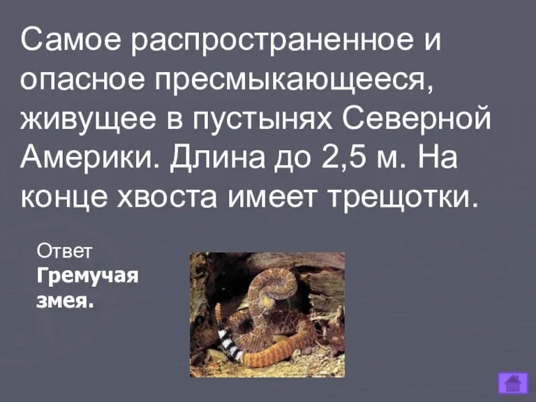 Самое распространенное и опасное пресмыкающееся, живущее в пустынях Северной Америки.