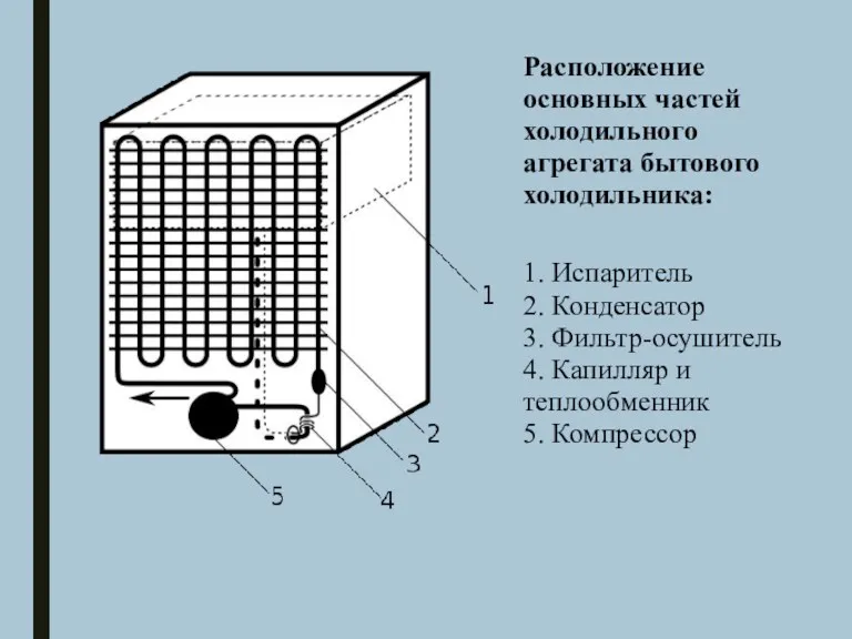 Расположение основных частей холодильного агрегата бытового холодильника: 1. Испаритель 2.