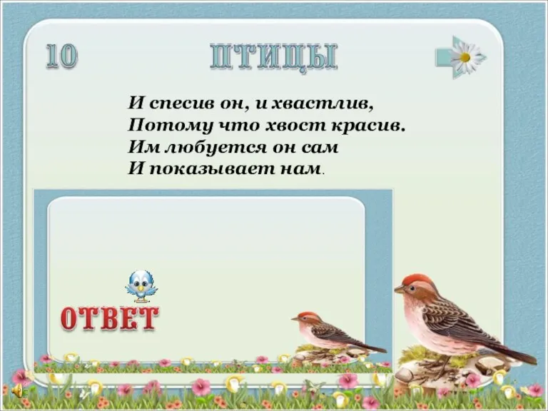 И спесив он, и хвастлив, Потому что хвост красив. Им любуется он сам И показывает нам.