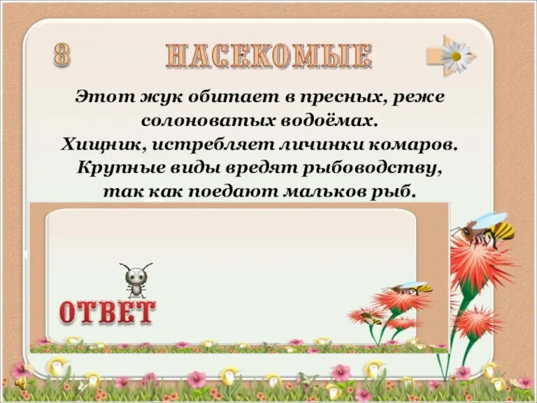 Этот жук обитает в пресных, реже солоноватых водоёмах. Хищник, истребляет