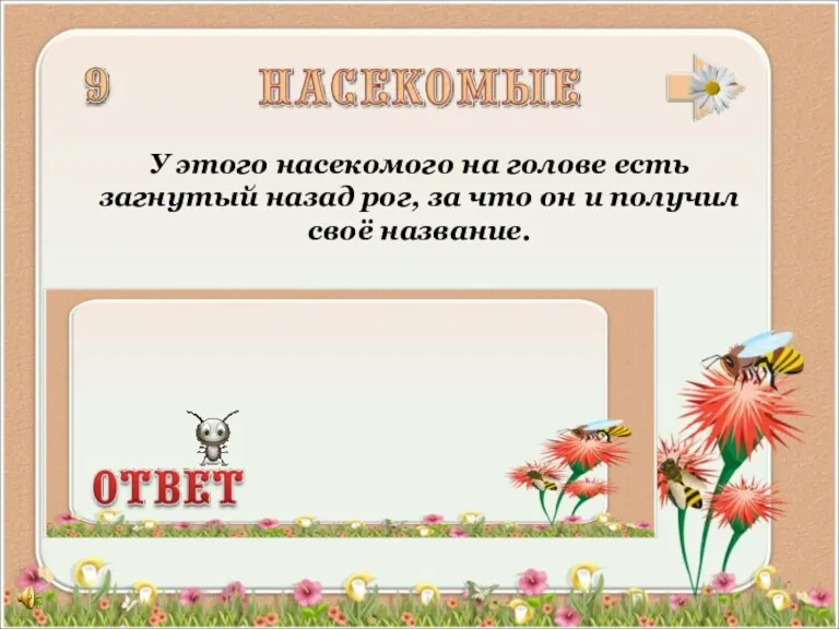 У этого насекомого на голове есть загнутый назад рог, за что он и получил своё название.