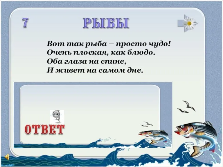 Вот так рыба – просто чудо! Очень плоская, как блюдо.