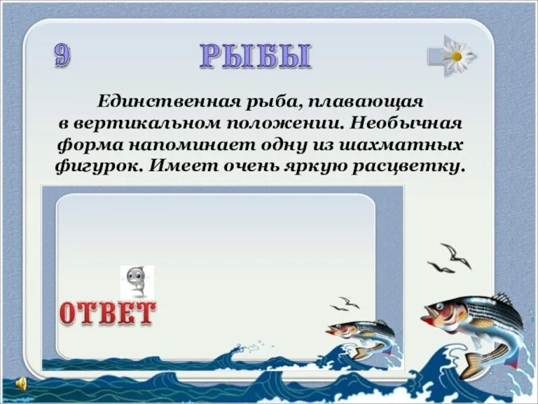 Единственная рыба, плавающая в вертикальном положении. Необычная форма напоминает одну