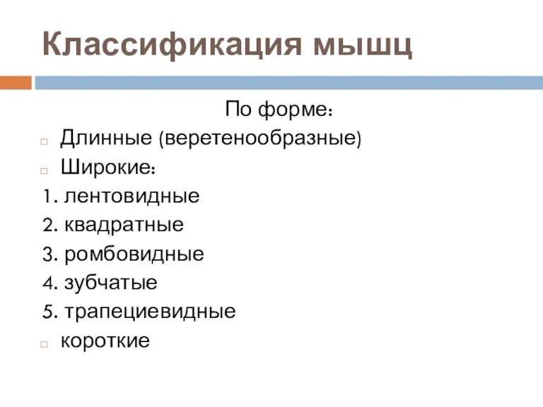 Классификация мышц По форме: Длинные (веретенообразные) Широкие: 1. лентовидные 2.