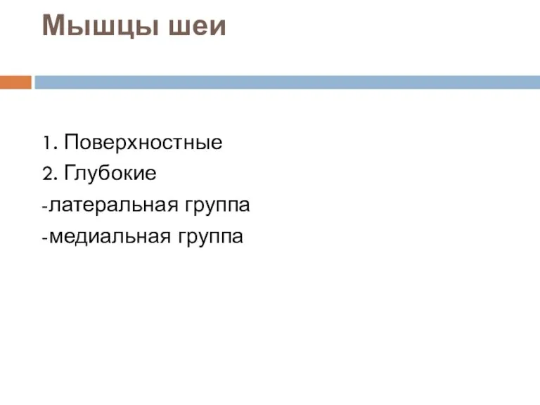 Мышцы шеи 1. Поверхностные 2. Глубокие -латеральная группа -медиальная группа