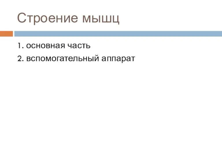 Строение мышц 1. основная часть 2. вспомогательный аппарат