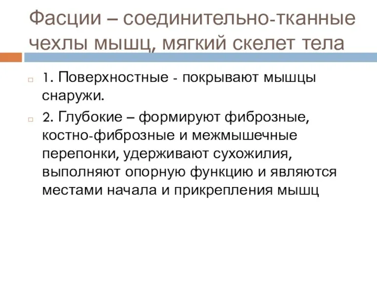 Фасции – соединительно-тканные чехлы мышц, мягкий скелет тела 1. Поверхностные