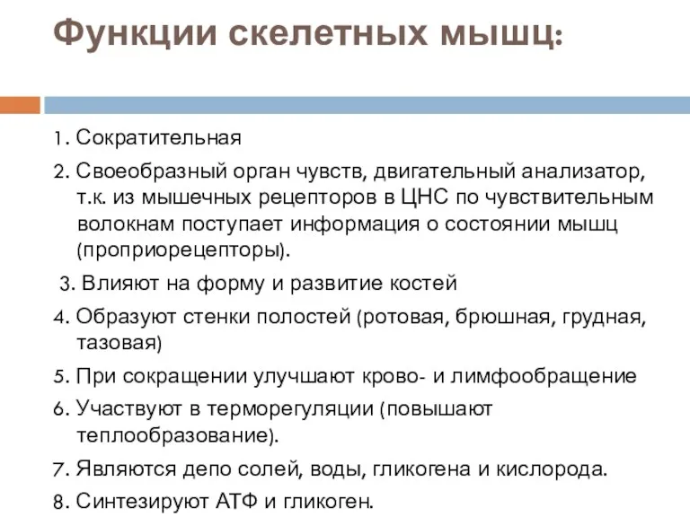 Функции скелетных мышц: 1. Сократительная 2. Своеобразный орган чувств, двигательный