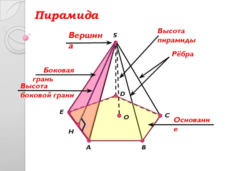 A C D E H B S Вершина Рёбра Основание