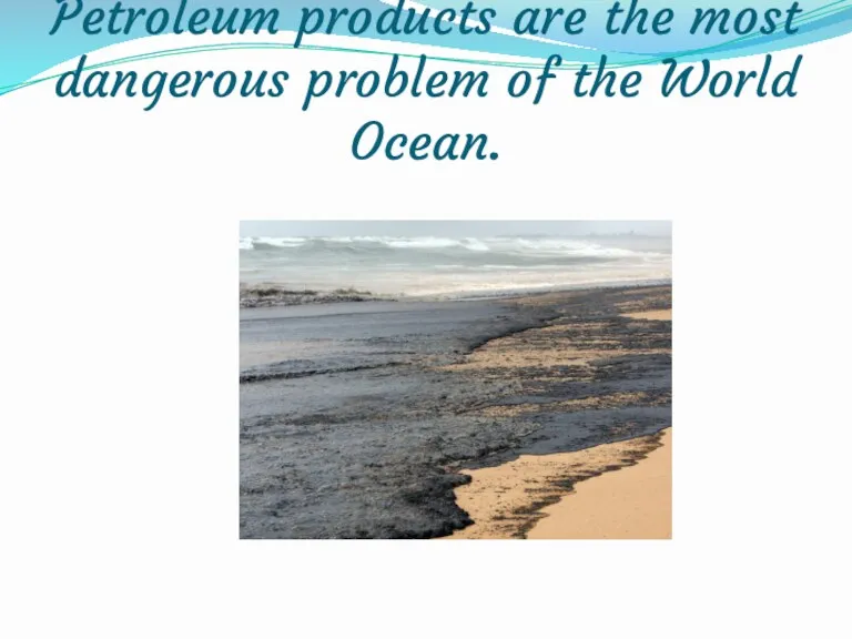 Petroleum products are the most dangerous problem of the World Ocean.