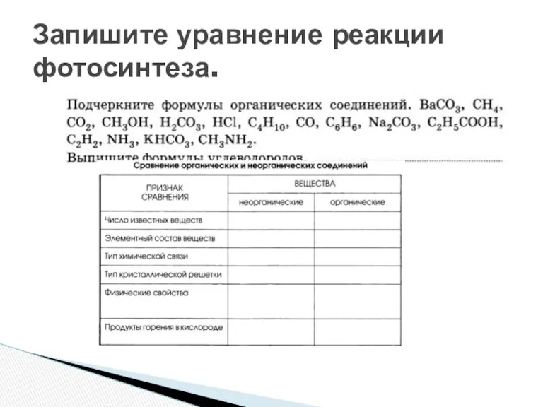 Запишите уравнение реакции фотосинтеза.