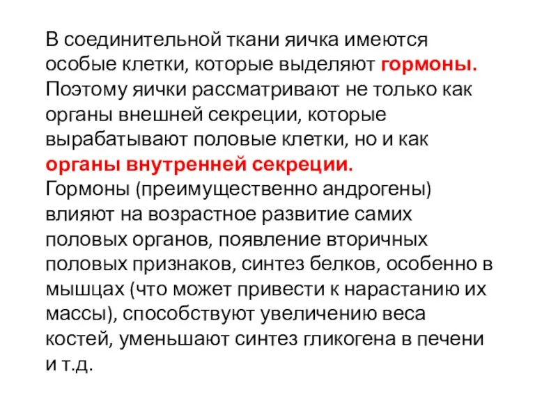 В соединительной ткани яичка имеются особые клетки, которые выделяют гормоны.