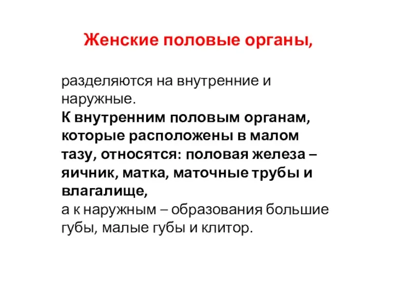 Женские половые органы, разделяются на внутренние и наружные. К внутренним