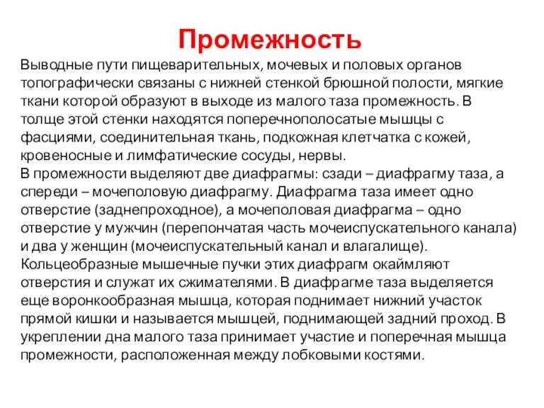 Промежность Выводные пути пищеварительных, мочевых и половых органов топографически связаны