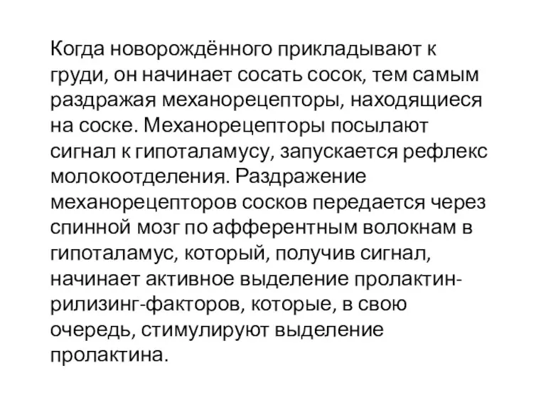 Когда новорождённого прикладывают к груди, он начинает сосать сосок, тем