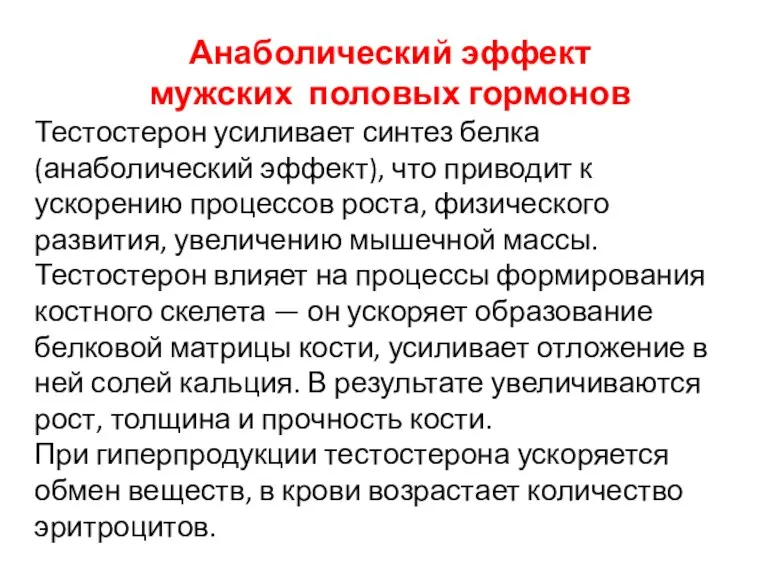 Анаболический эффект мужских половых гормонов Тестостерон усиливает синтез белка (анаболический